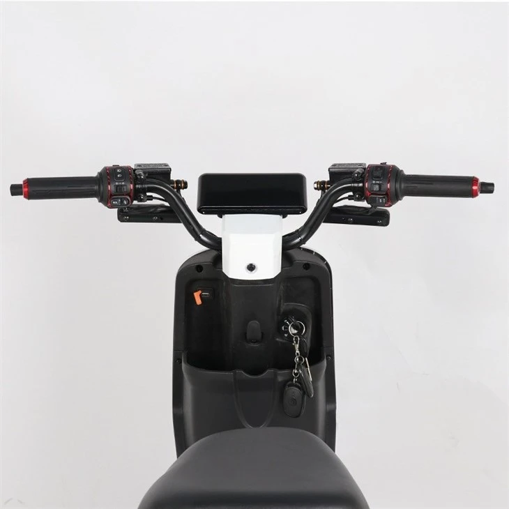 scooter motorcycle for adults02